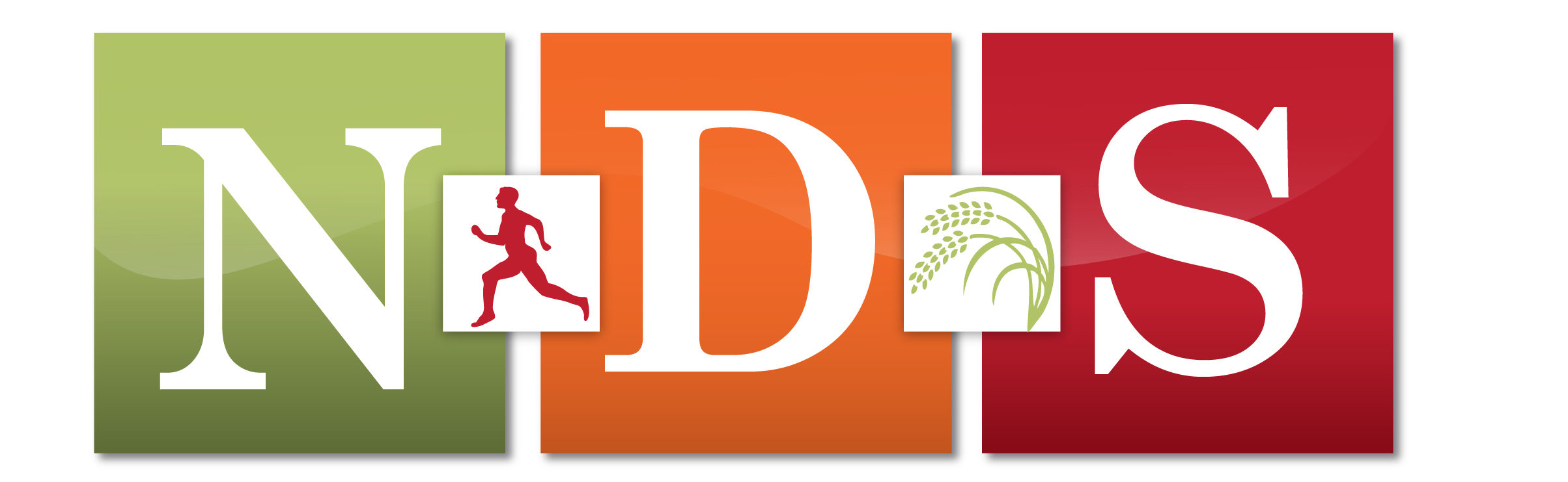 cropped-final-nds-logo-1.jpg